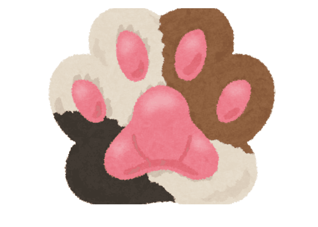 Book your pet's visit