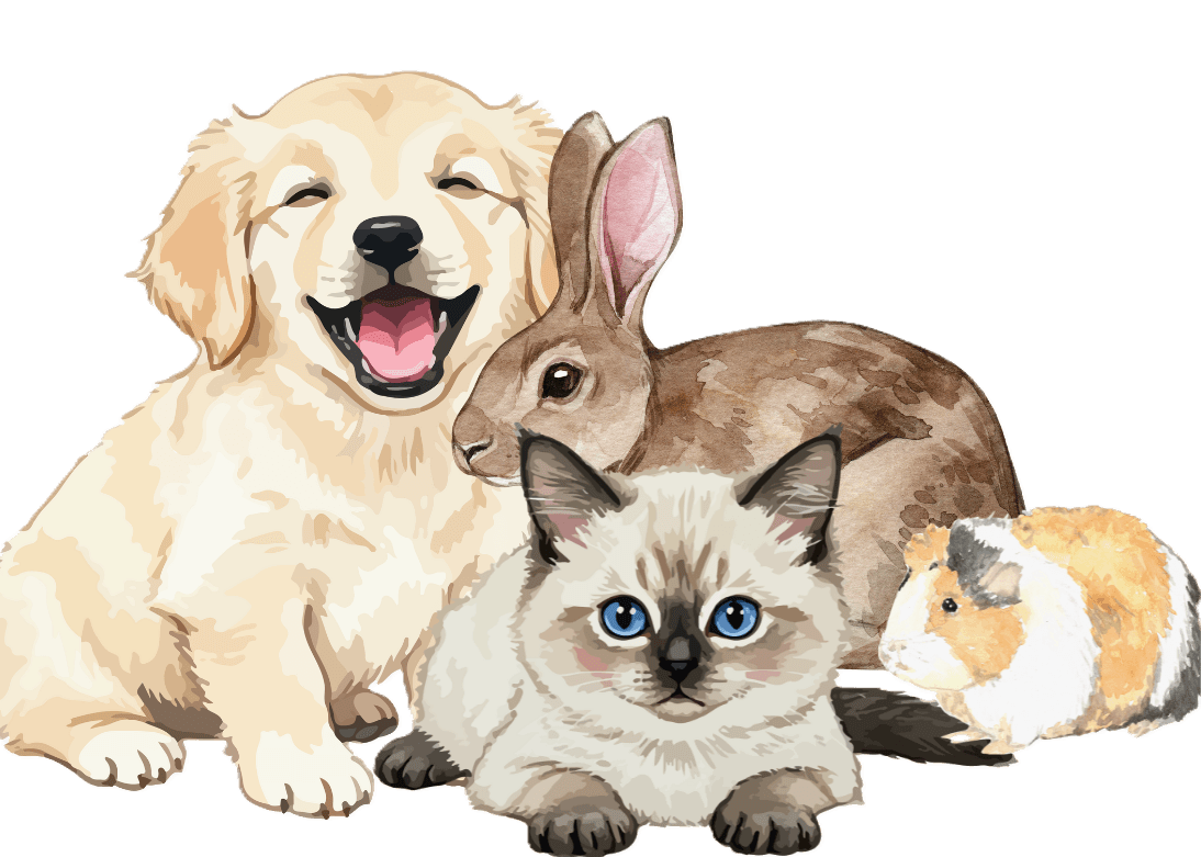 Happy pets at UNOVETZ SPECIALITY