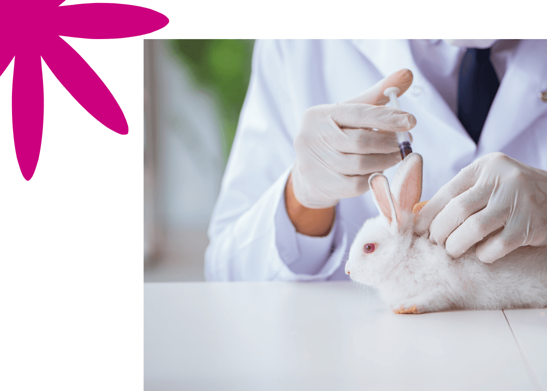 Regenerative Therapy